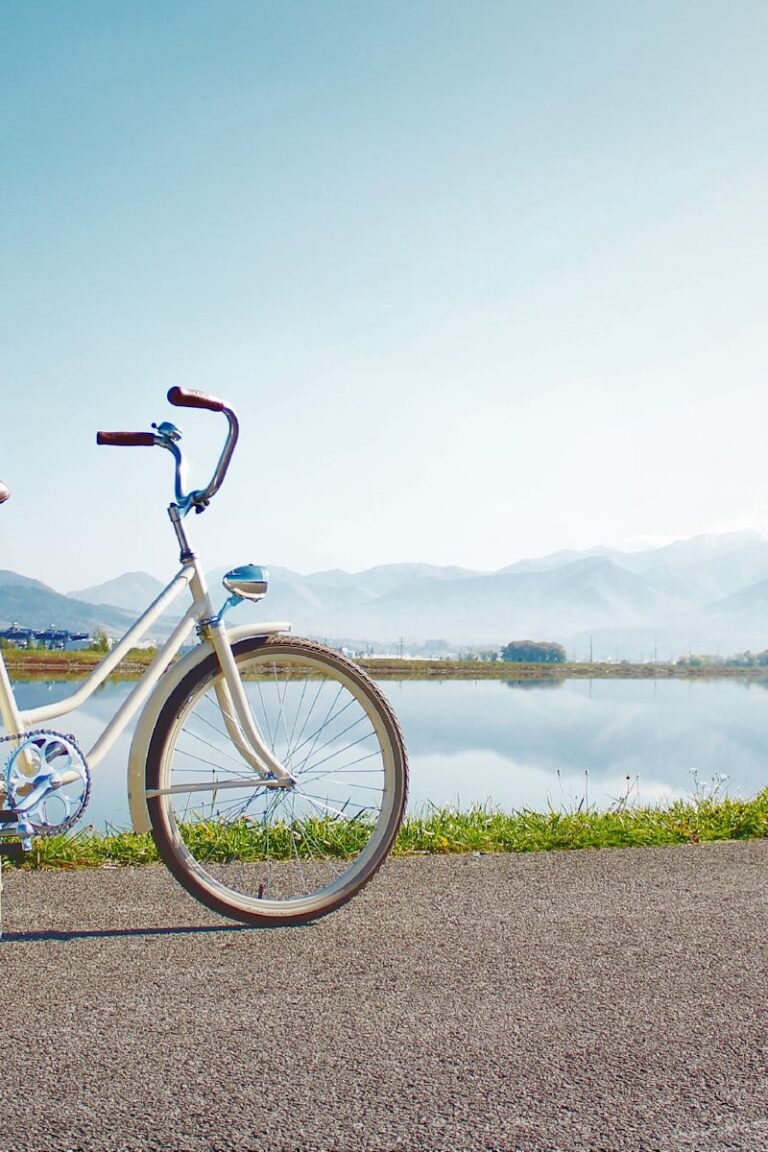 A vintage bicycle on a lakeside road with mountain views under a clear sky.